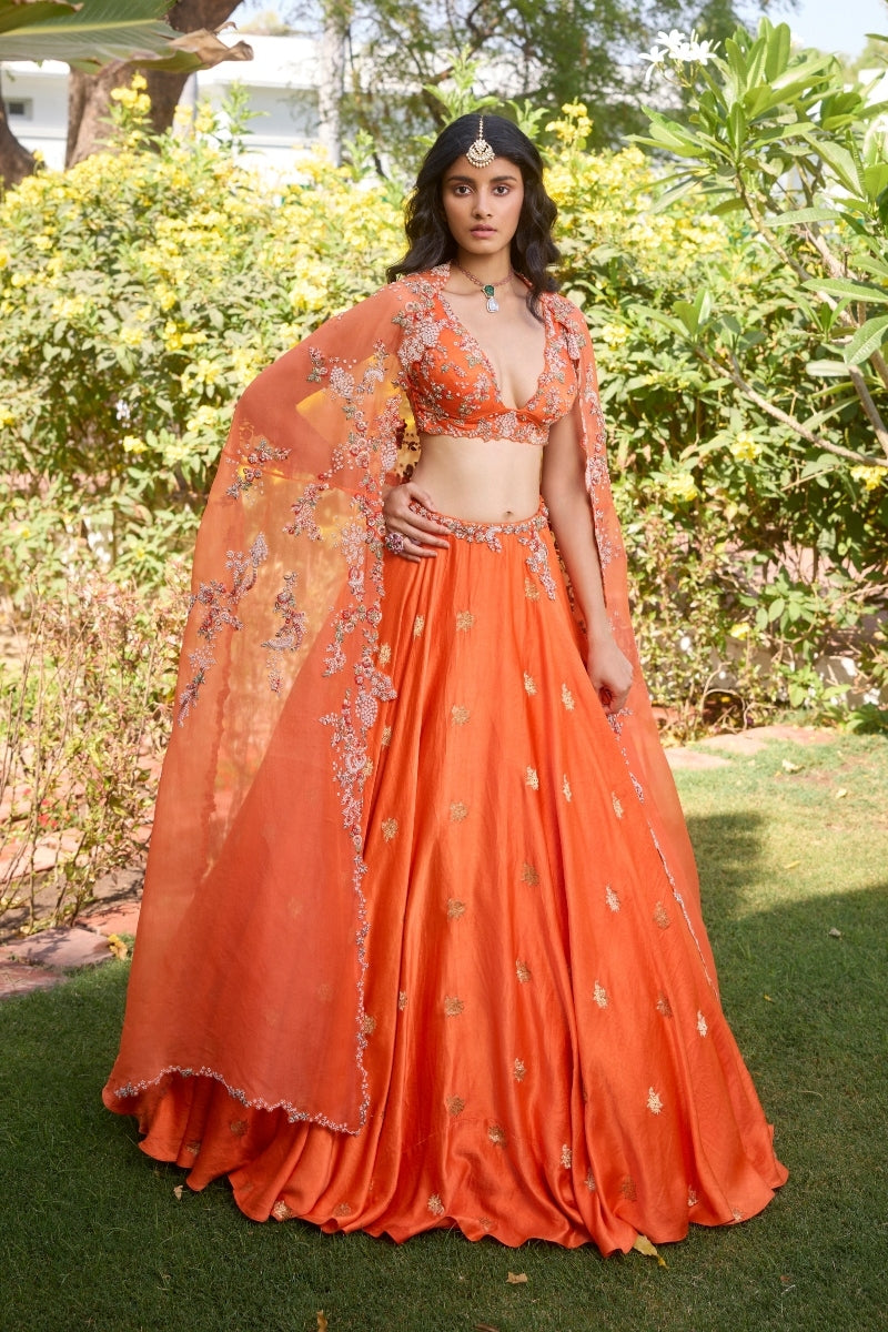 "Anahita" Lehenga Set