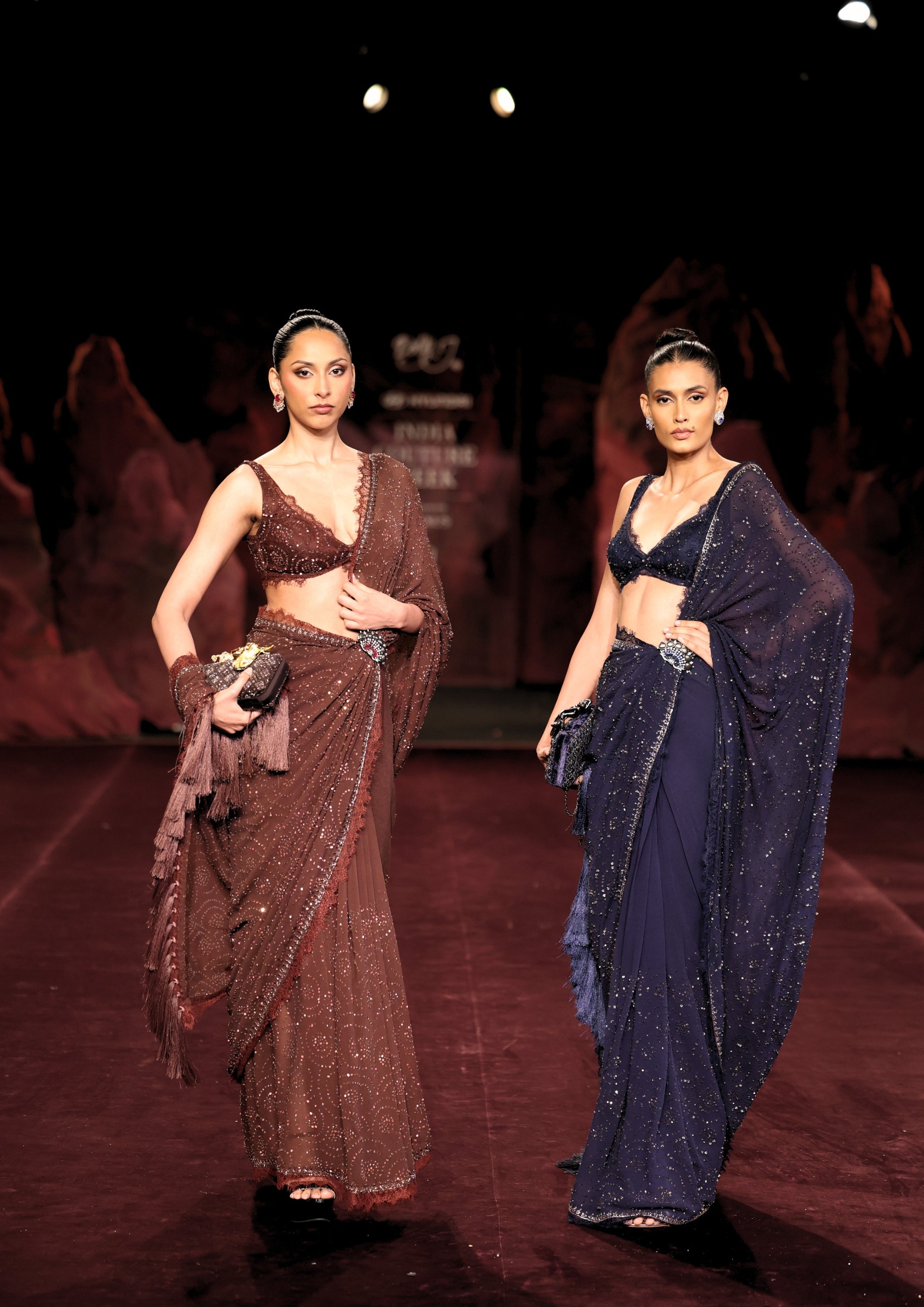 Mocha Sitara Saree