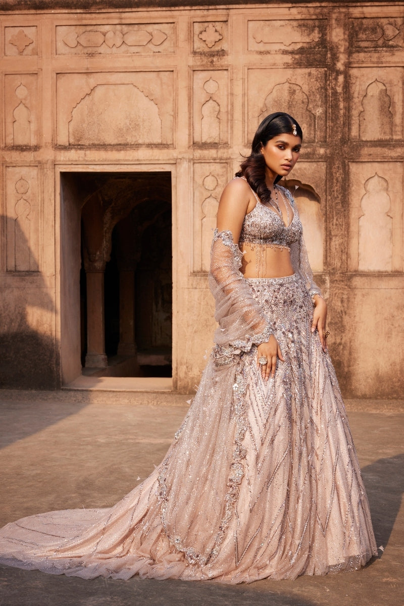 "Phaenna" Silver Shimmer Tulle Embroidered Lehenga