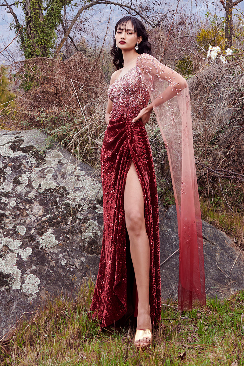 DollyJ Studio Maroon Robin Ray Drape Gown M / Maroon