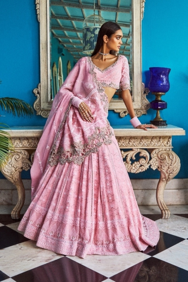 "Aaleyah" Lehenga Set