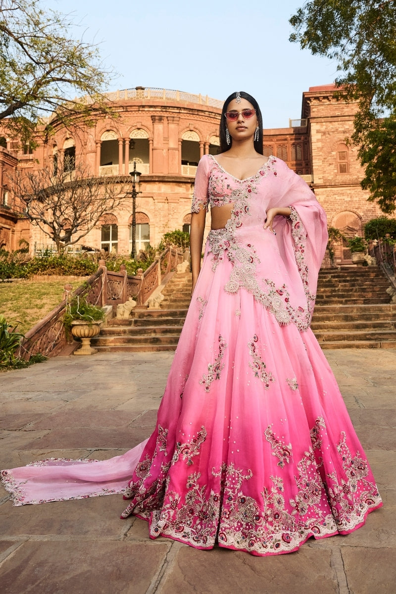 "Eliora" Lehenga set