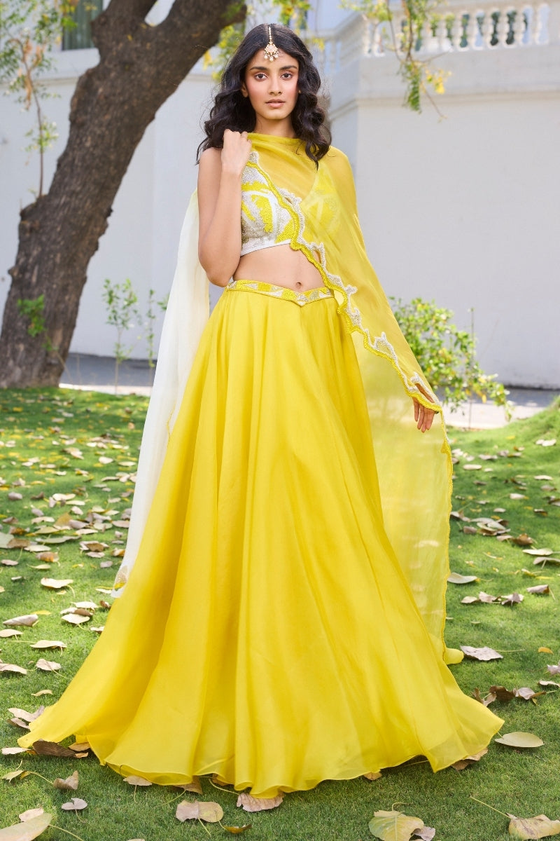 "Elke" Organza Lehenga Set