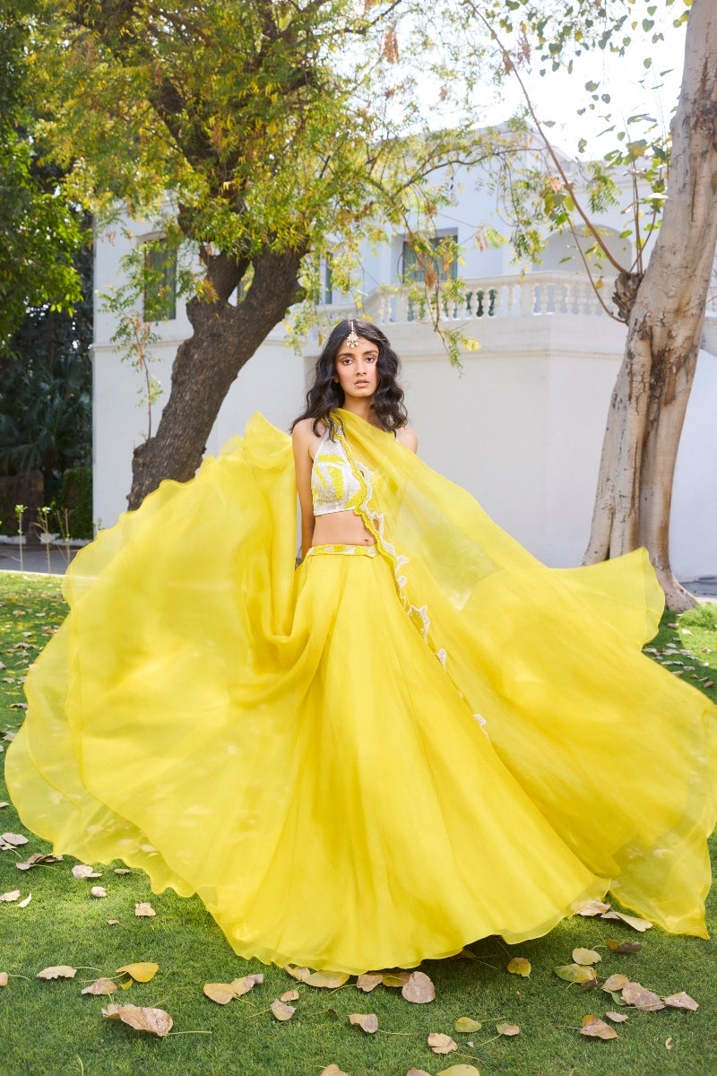 "Elke" Organza Lehenga Set