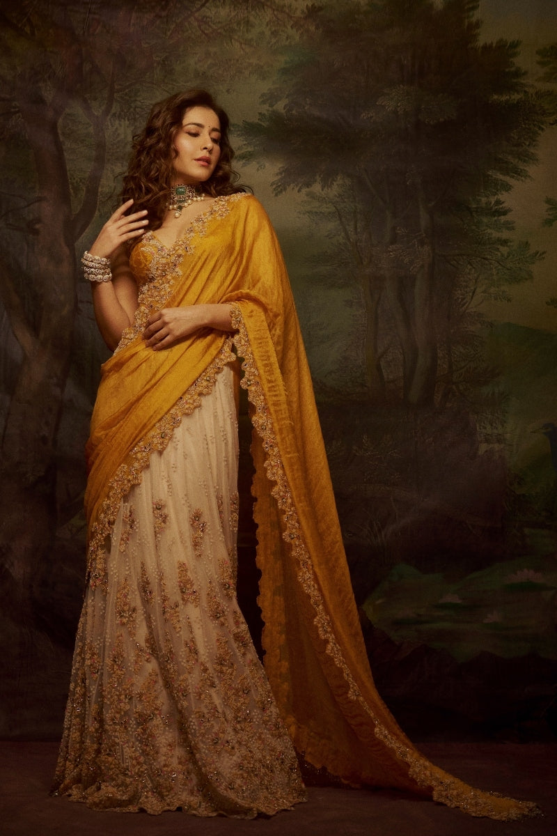 "Amaltas" Kalidaar Saree