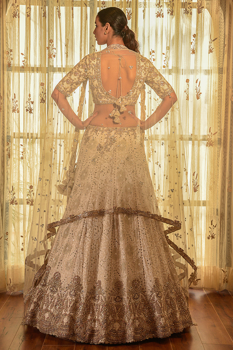 "Ellie" Georgette Chikankari Lehenga With Tilla Work