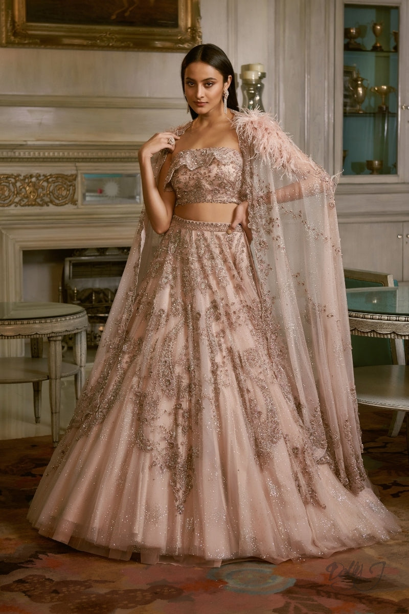 "Ilina" Shimmer Tulle Lehenga Set