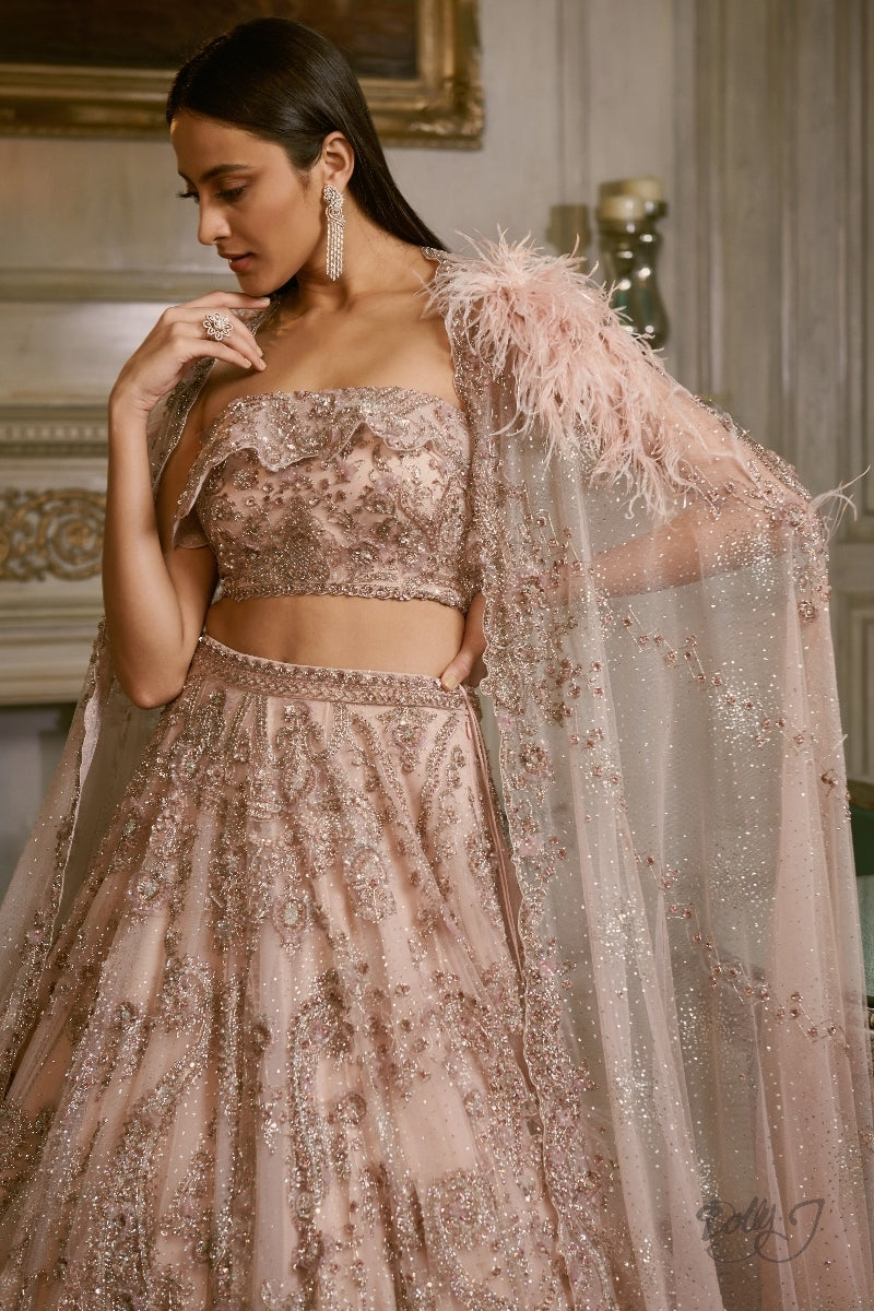 "Ilina" Shimmer Tulle Lehenga Set