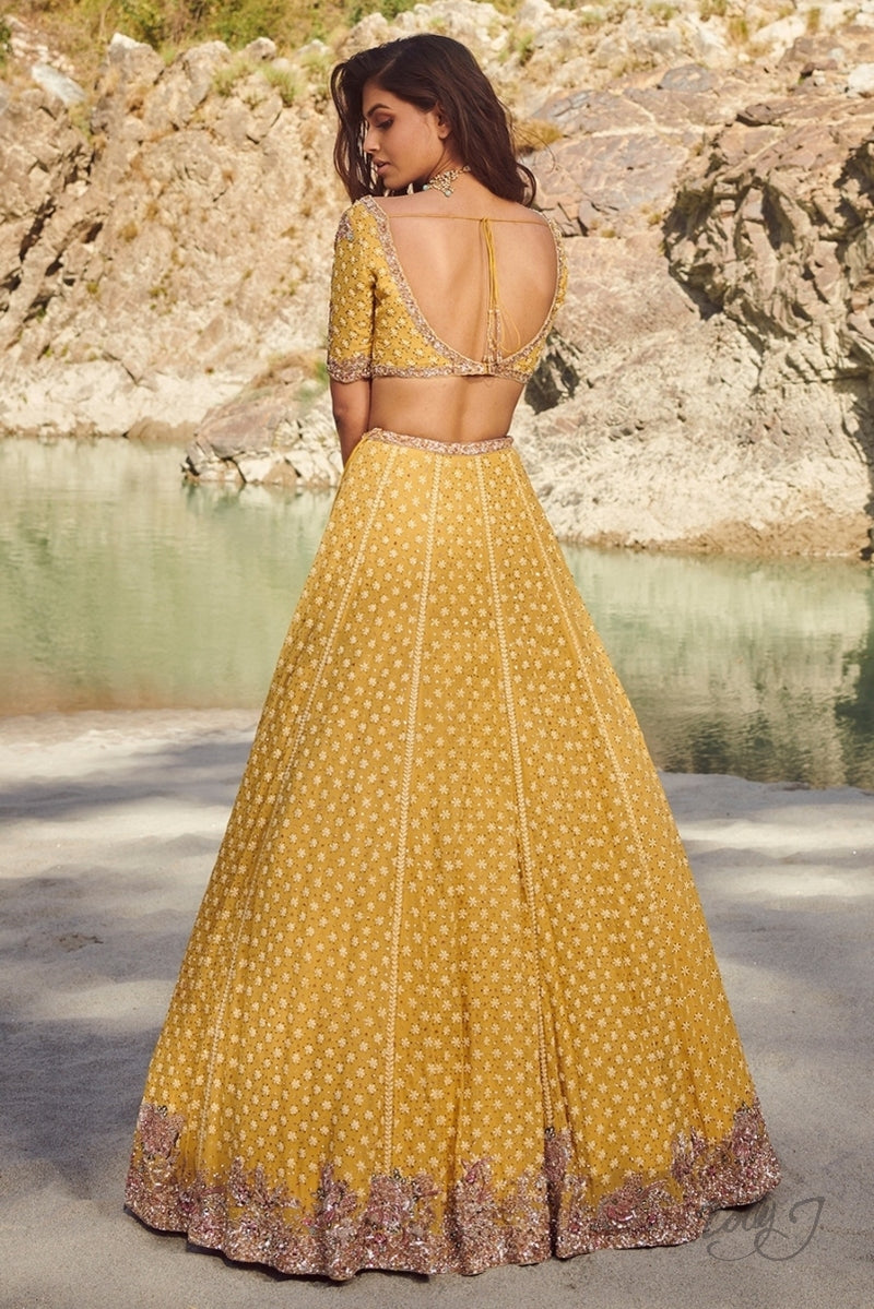 "Adeline" chiffon Lehenga Set