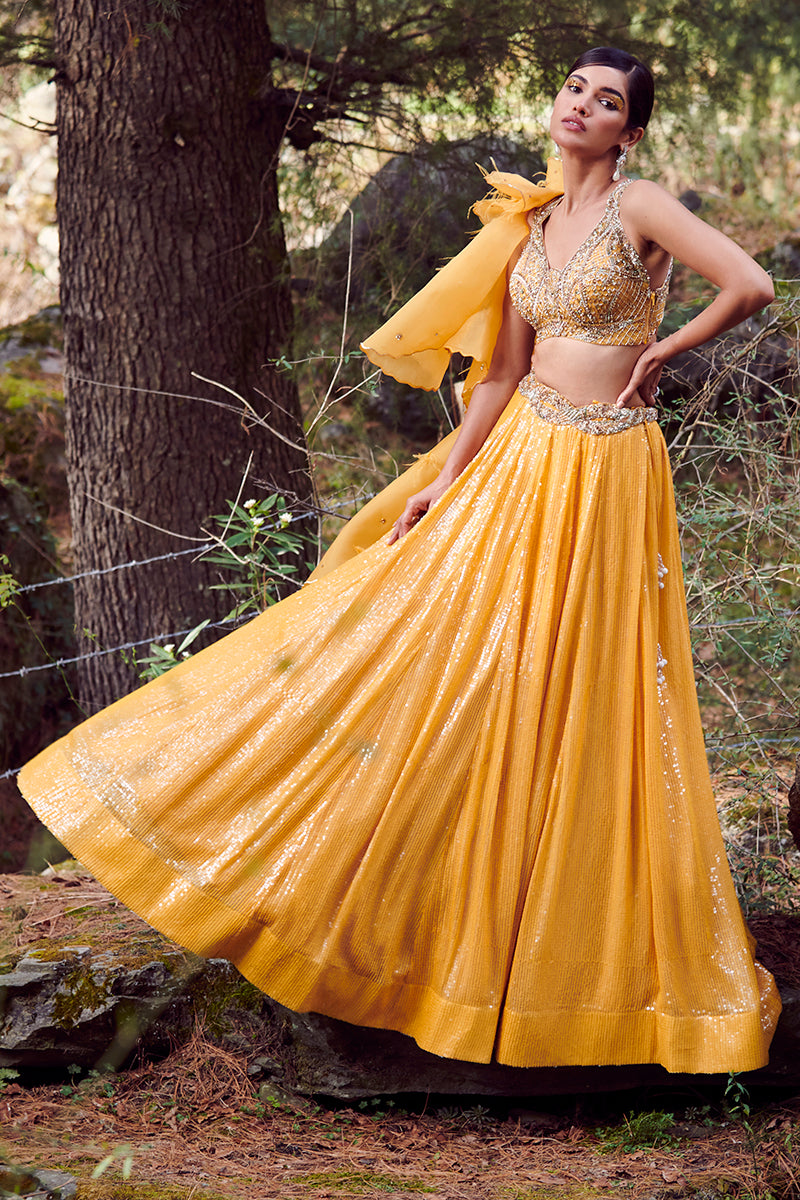 "Svetlana" Chiffon Lehenga Set