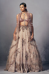 “ Mabel ” Chikankari Lehenga Set